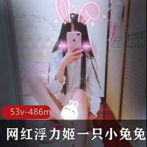 某推神秘FL姬（一只小兔兔）白丝合集